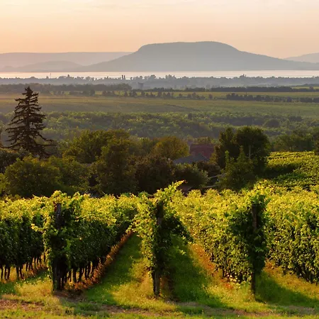 Beachfront In 54818 Hébergement de vacances