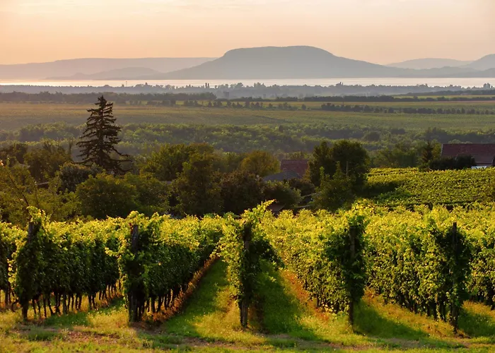 Beachfront In 54818 בית נופש